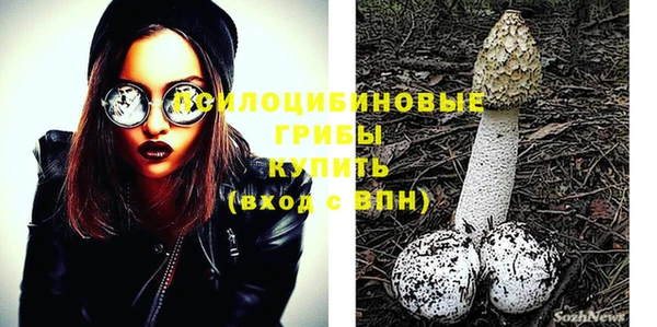 меф Горняк