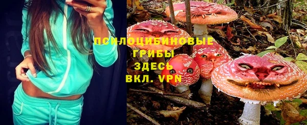 меф Горняк