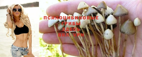 крисы Горнозаводск