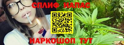 ECSTASY Гай