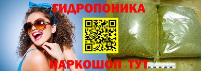 ECSTASY Гай