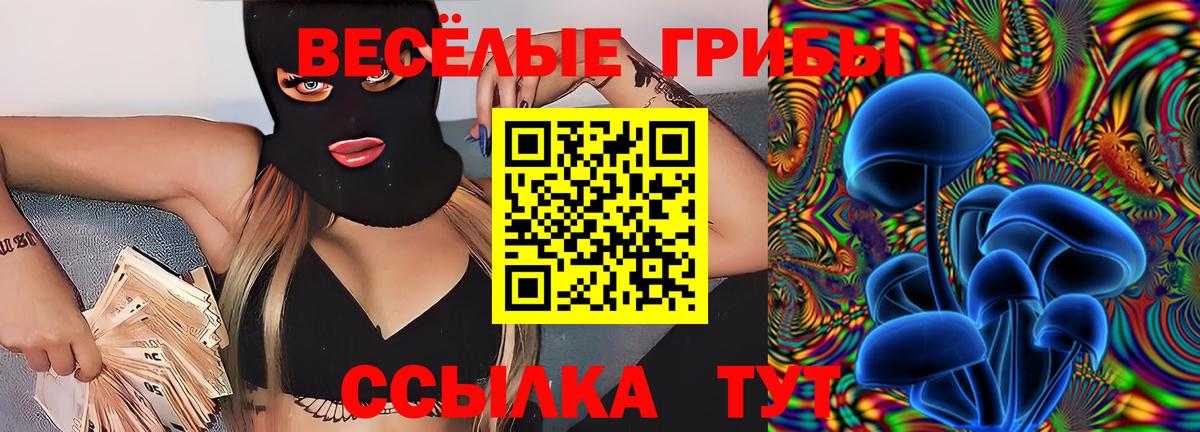 Псилоцибиновые грибы прущие грибы  Псилоцибиновые грибы Psilocybe  Серпухов  купить наркотики сайты  Вход с VPN 