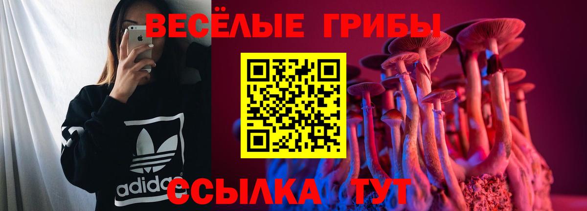 Галлюциногенные грибы Psilocybine cubensis Серпухов